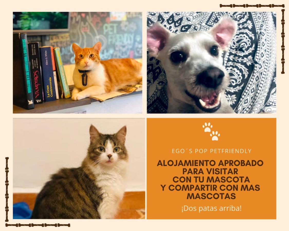 Casa Egos Pop